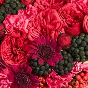 Florist&#39;s Choice Posy Arrangement