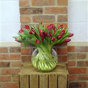 Classic Tulip Vase Arrangement