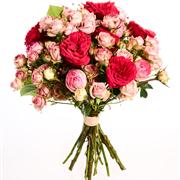 Just Roses