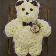 Teddy Tribute